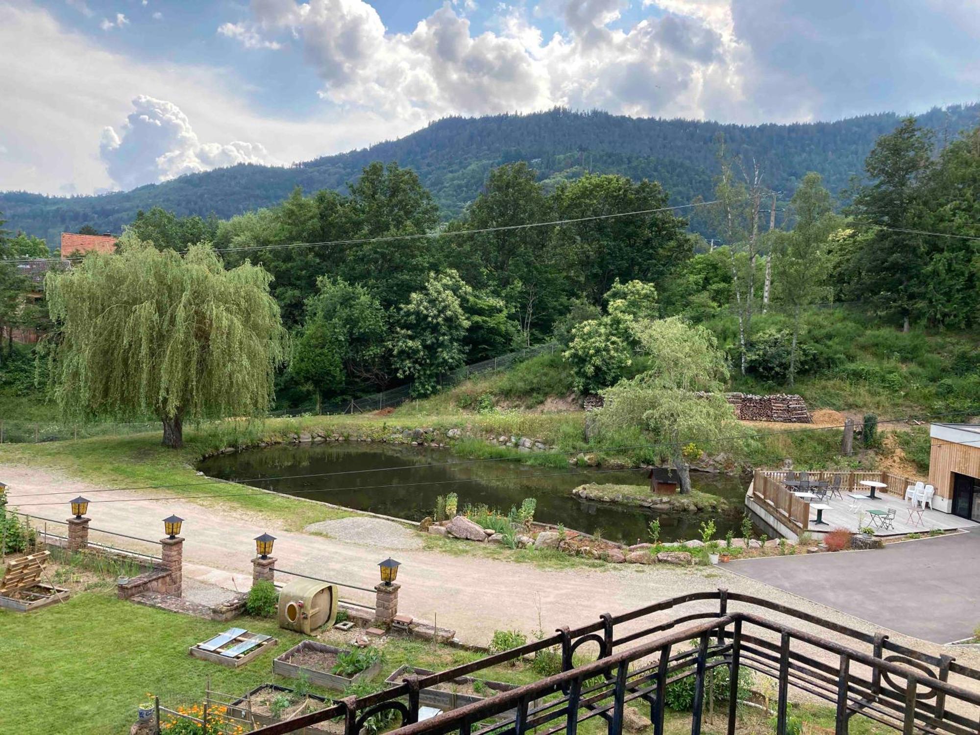 Aux Gites De L'Etang - Thannenkirch Bergheim Extérieur photo